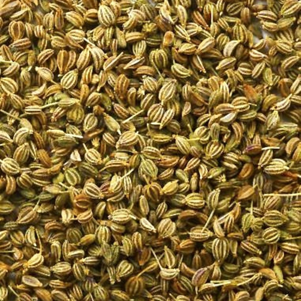 Ajwain — bulk wholesale supply from Rajasthan