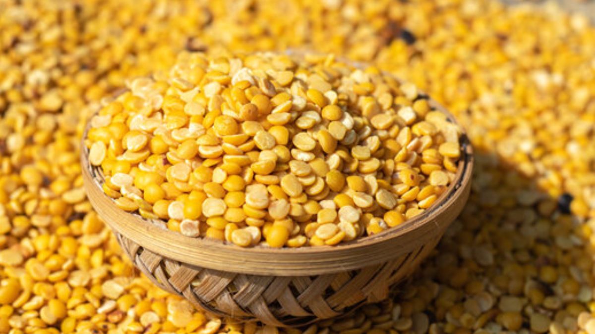 Arhar / Toor Dal — bulk wholesale supply from Gujarat