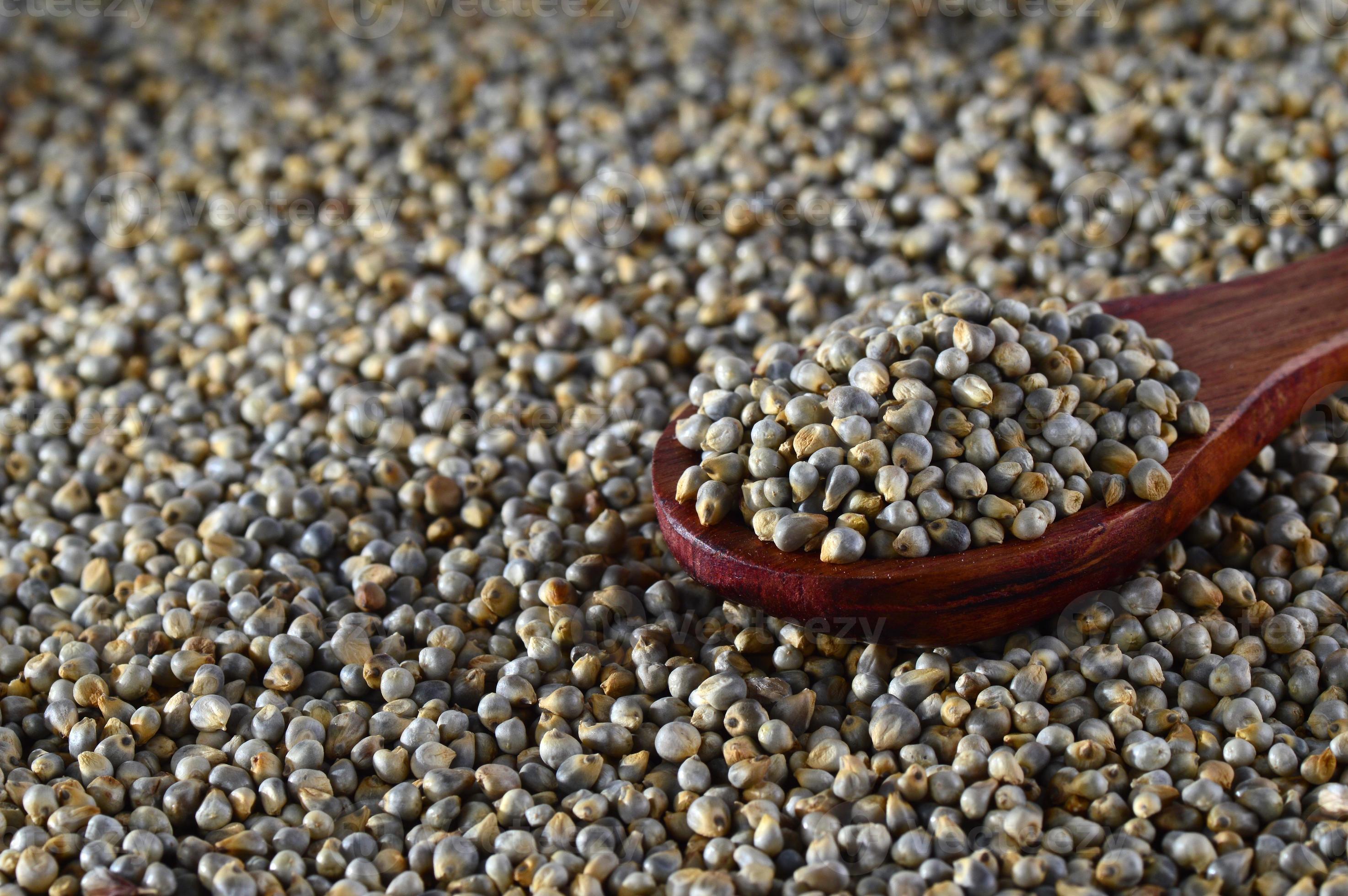 Bajra (Pearl Millet) — bulk wholesale supply from Rajasthan