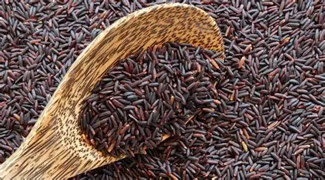 Black Rice (Chakhao) — bulk wholesale supply from Assam