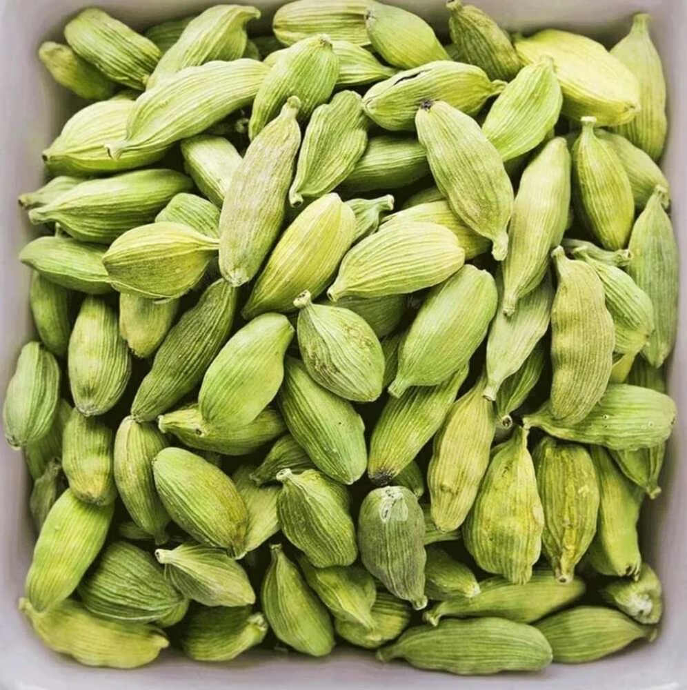 Cardamom