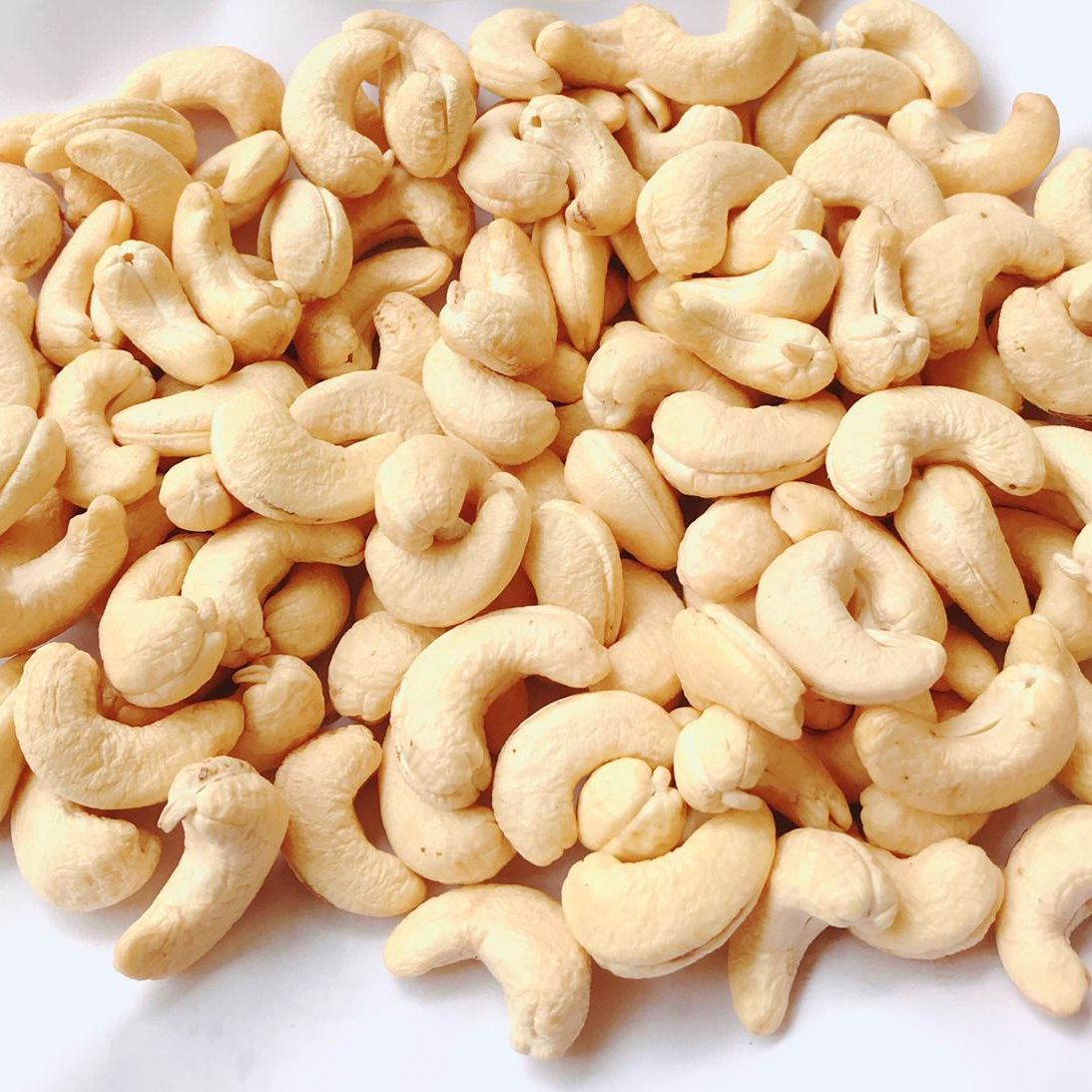 Cashew Nuts — bulk wholesale supply from Goa