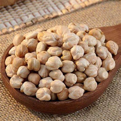 Chola (Kabuli Chickpeas) — bulk wholesale supply from Gujarat