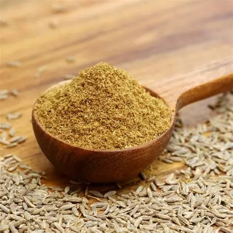 Cumin Powder — bulk wholesale supply from Rajasthan