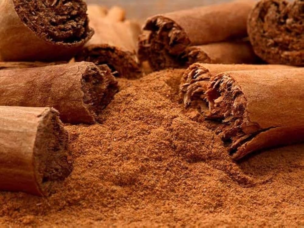 Dalchini Powder — bulk wholesale supply from Kerala
