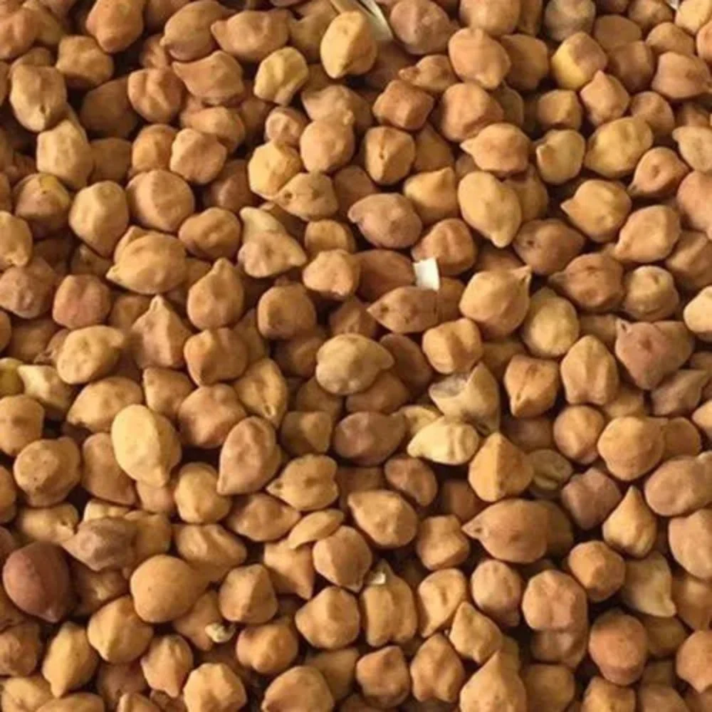 Desi Chana