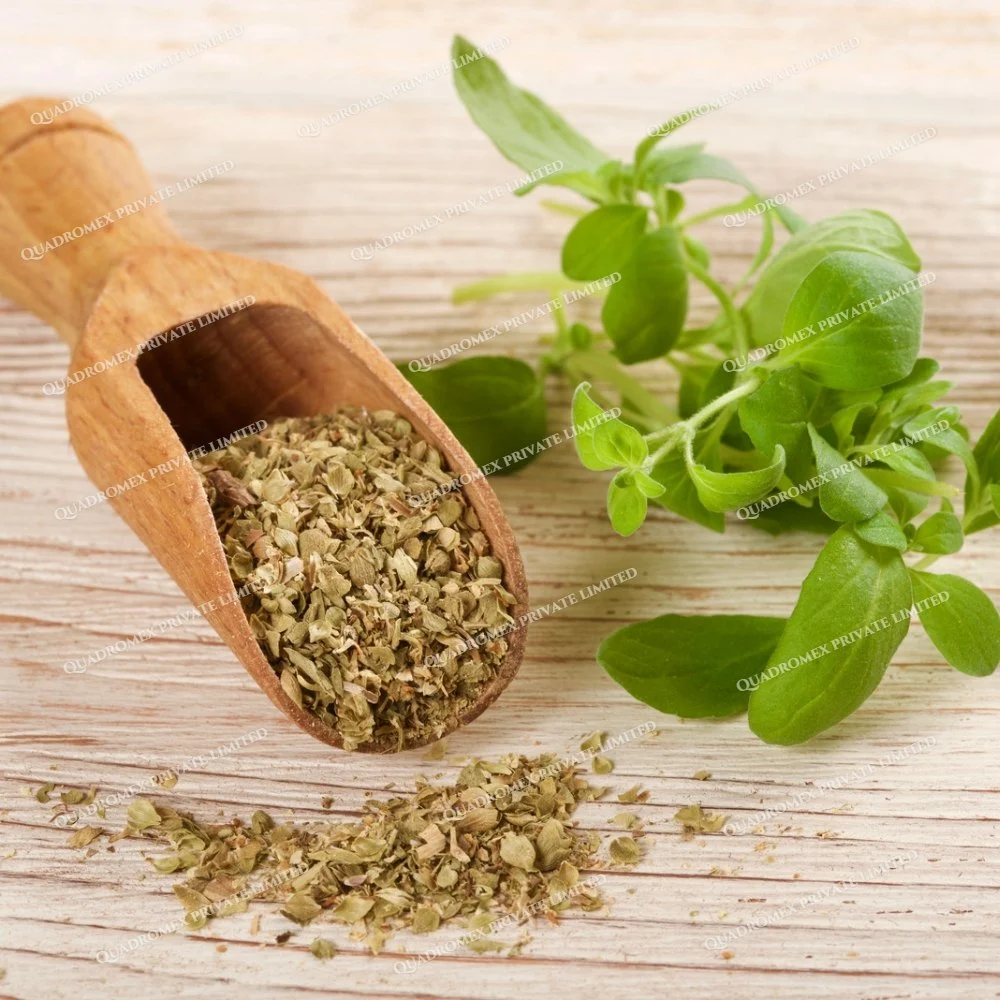 Dried Oregano — bulk wholesale supply from International