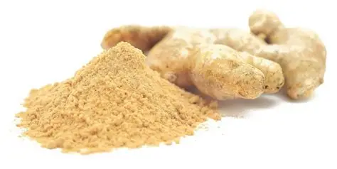 Dry Ginger Powder (Sonth) — bulk wholesale supply from Rajasthan