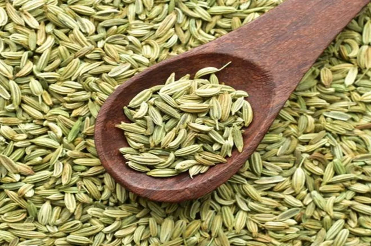 Fennel Seeds (Saunf) — bulk wholesale supply from Rajasthan
