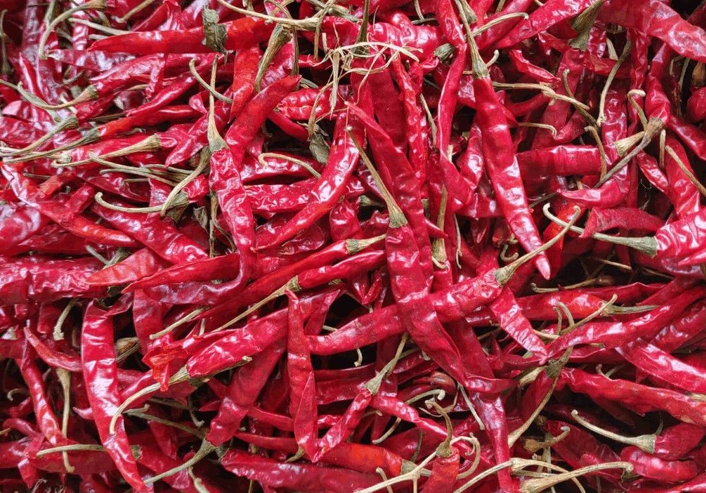 Guntur Red Chilli