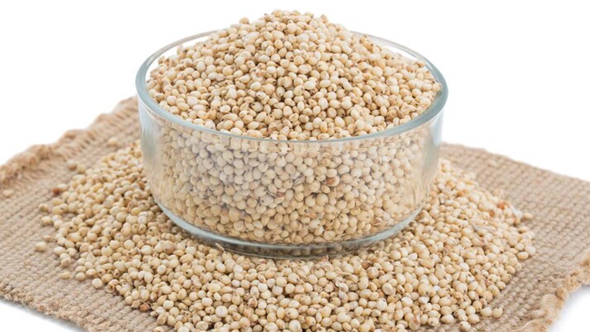 Jowar (Sorghum) — bulk wholesale supply from Gujarat
