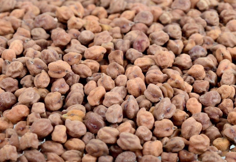 Kala Chana — bulk wholesale supply from Gujarat
