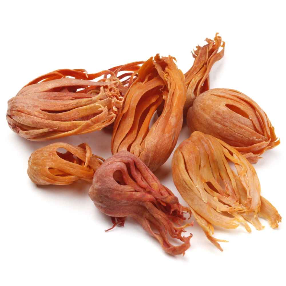 Mace (Whole Javitri) — bulk wholesale supply from Kerala