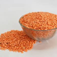 Masoor Dal — bulk wholesale supply from Gujarat