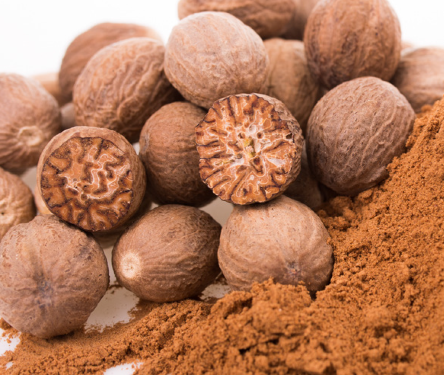 Nutmeg (Jaiphal) — bulk wholesale supply from Kerala