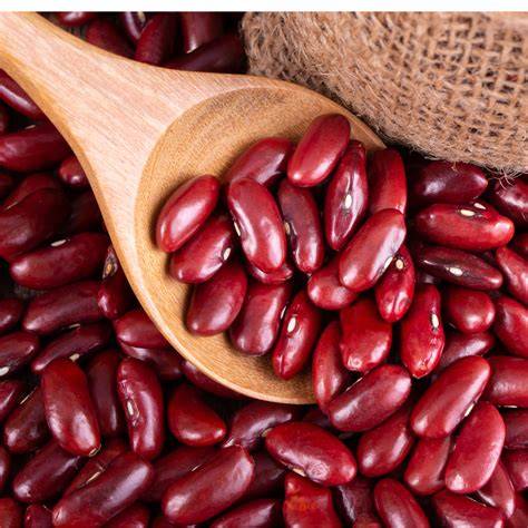 Rajma — bulk wholesale supply from Gujarat