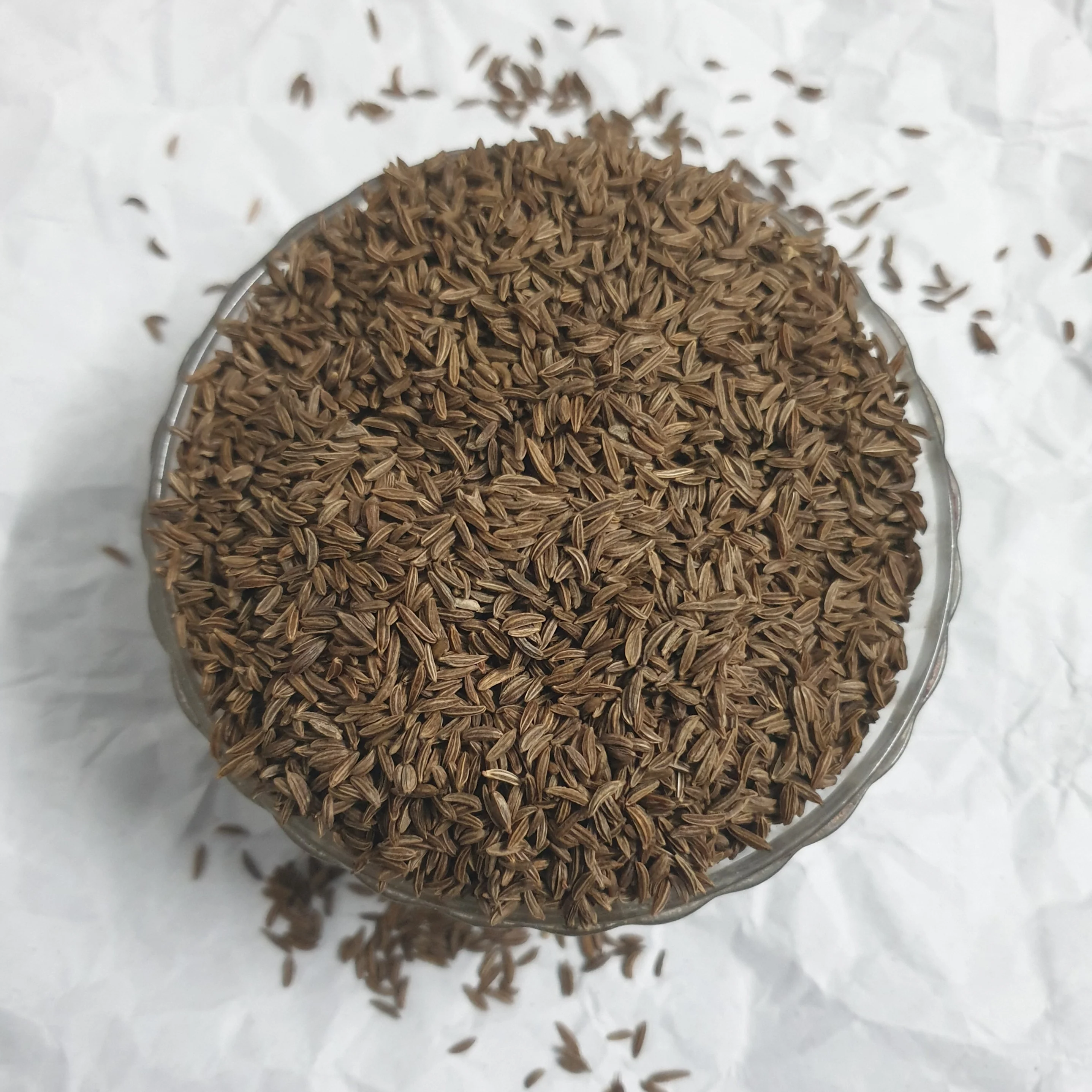 Shahi Jeera — bulk wholesale supply from Gujarat