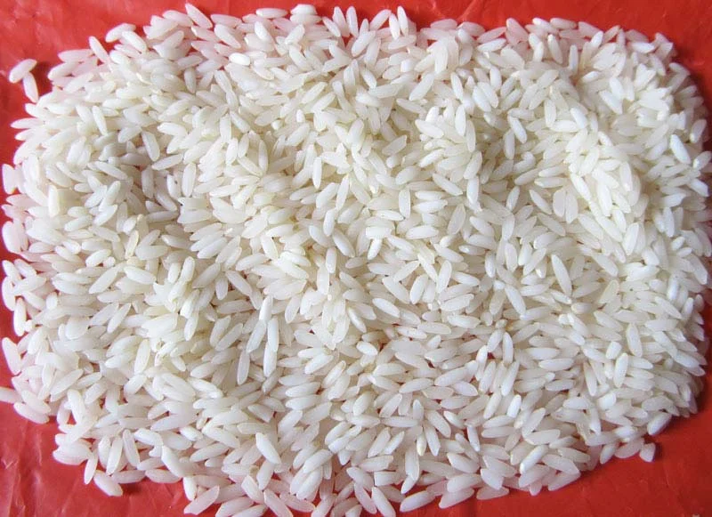 Sona Masuri Rice — bulk wholesale supply from Andhra Pradesh