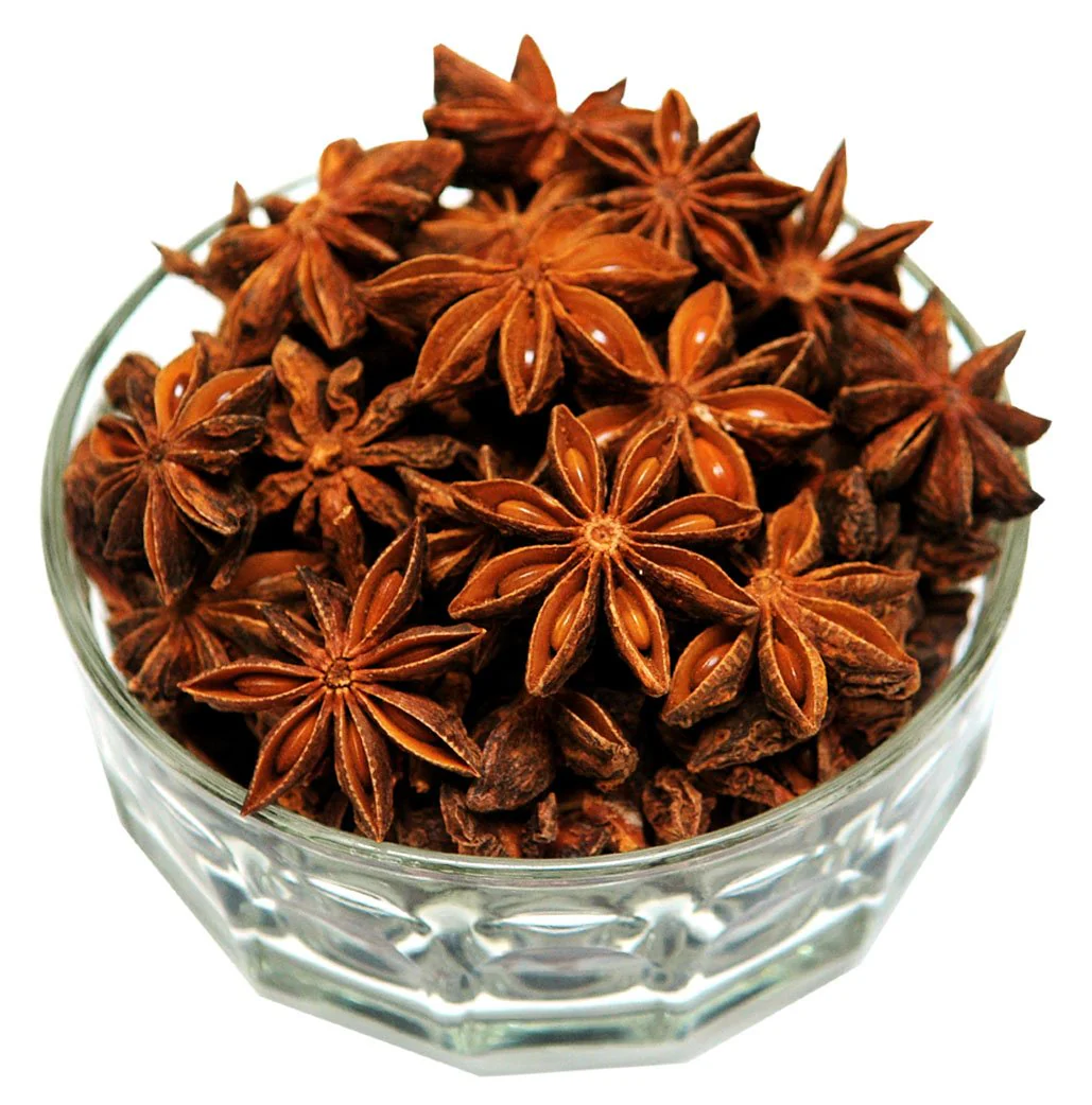 Star Anise — bulk wholesale supply from Arunachal Pradesh